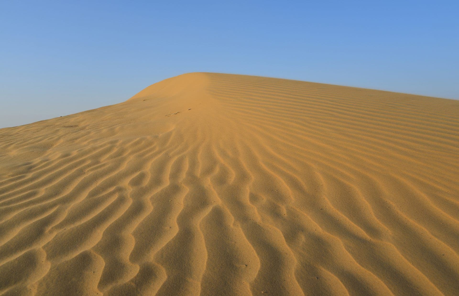 rajasthan state — Rajasthan