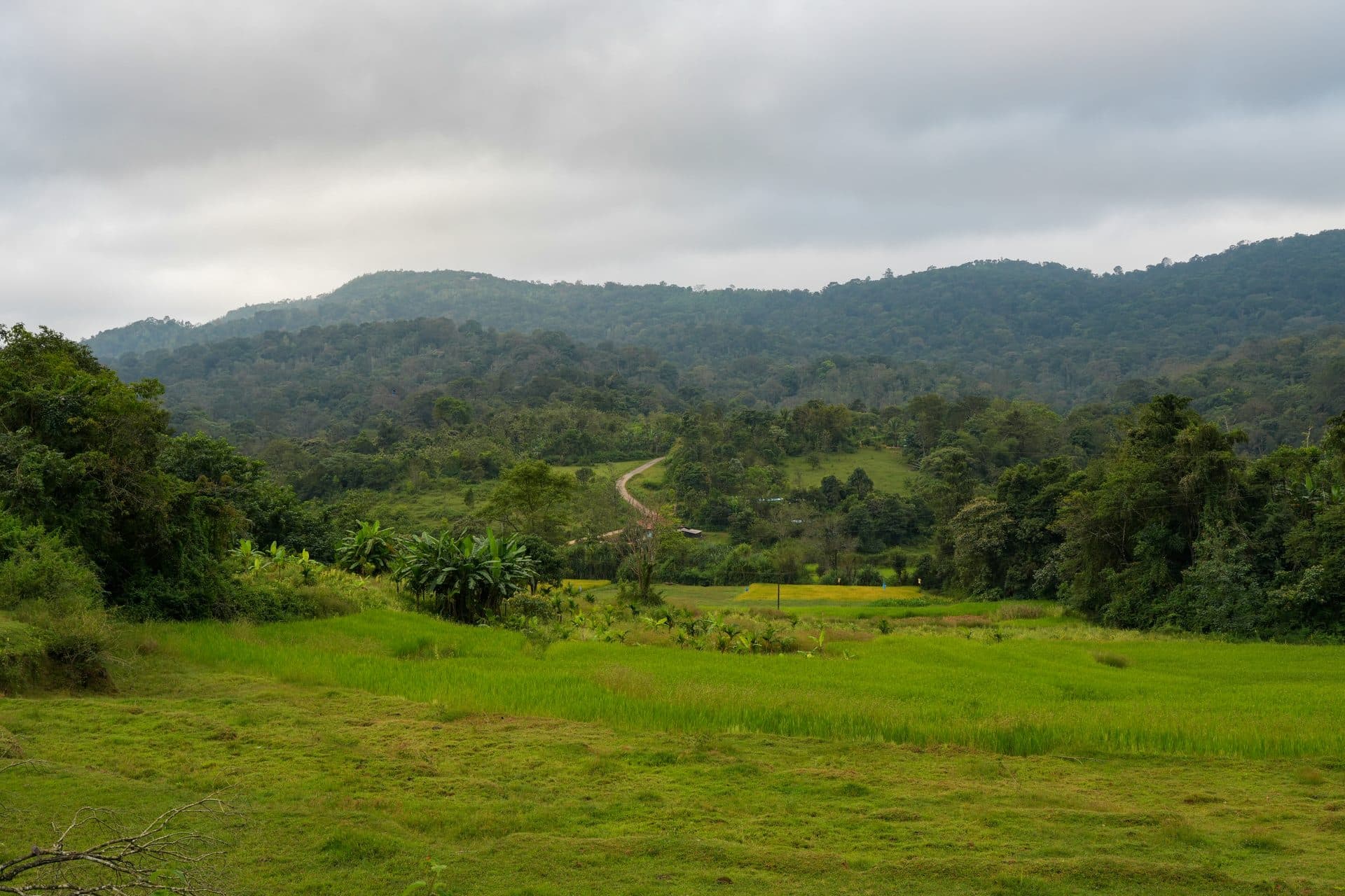 coorg