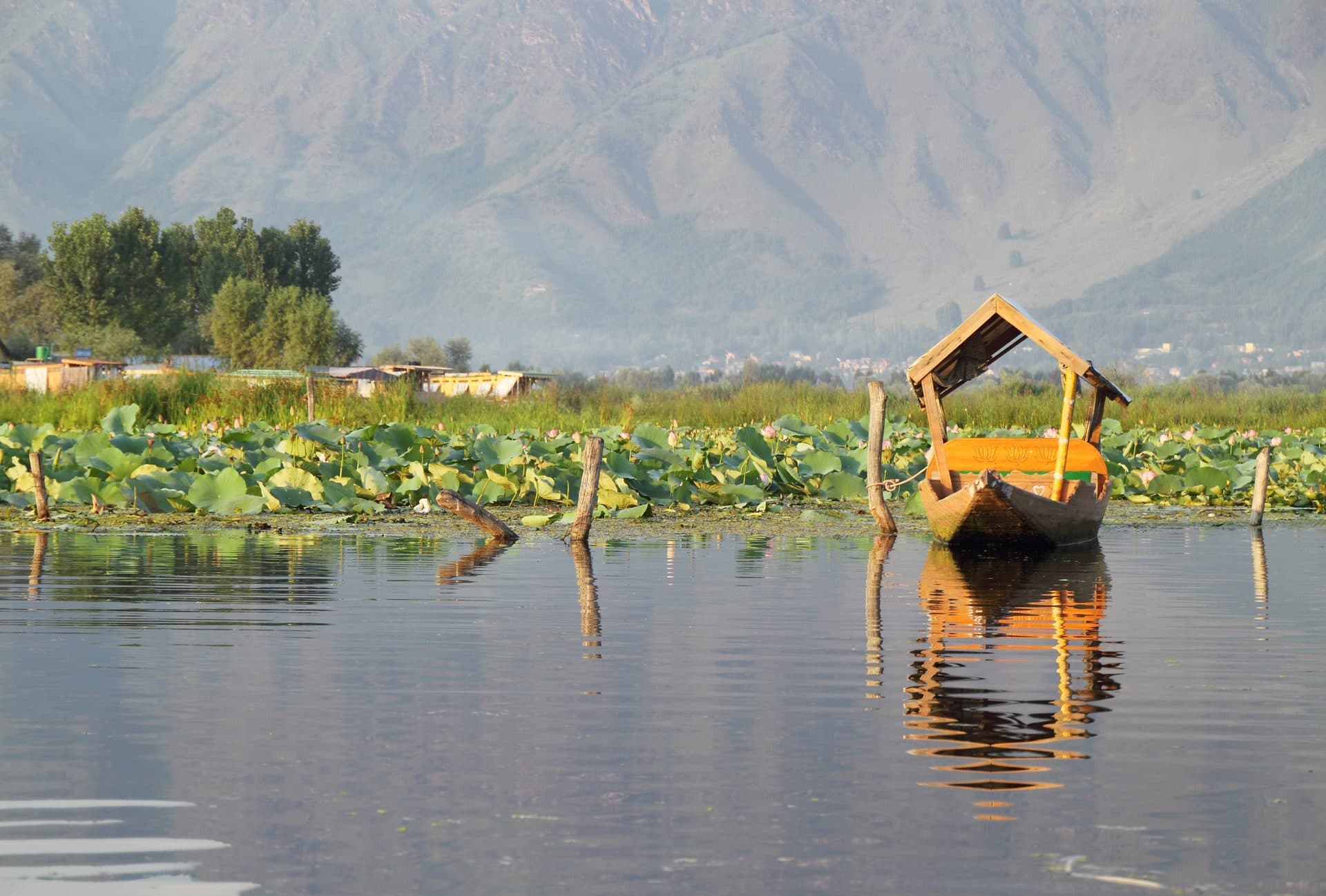 kashmir