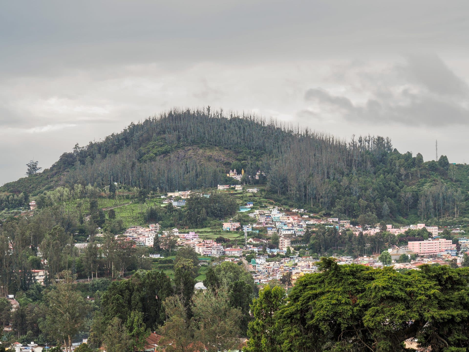 ooty