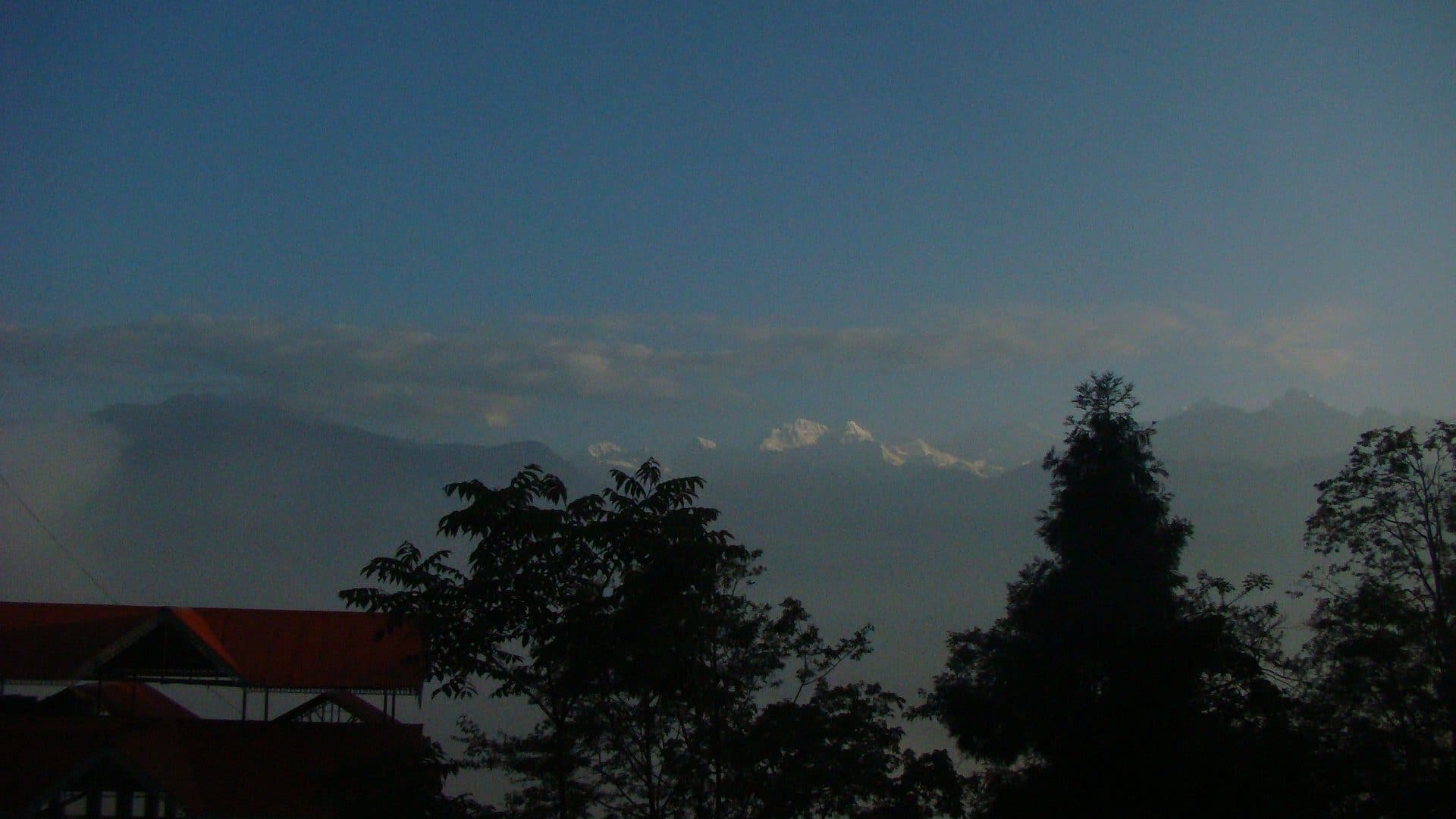 pelling