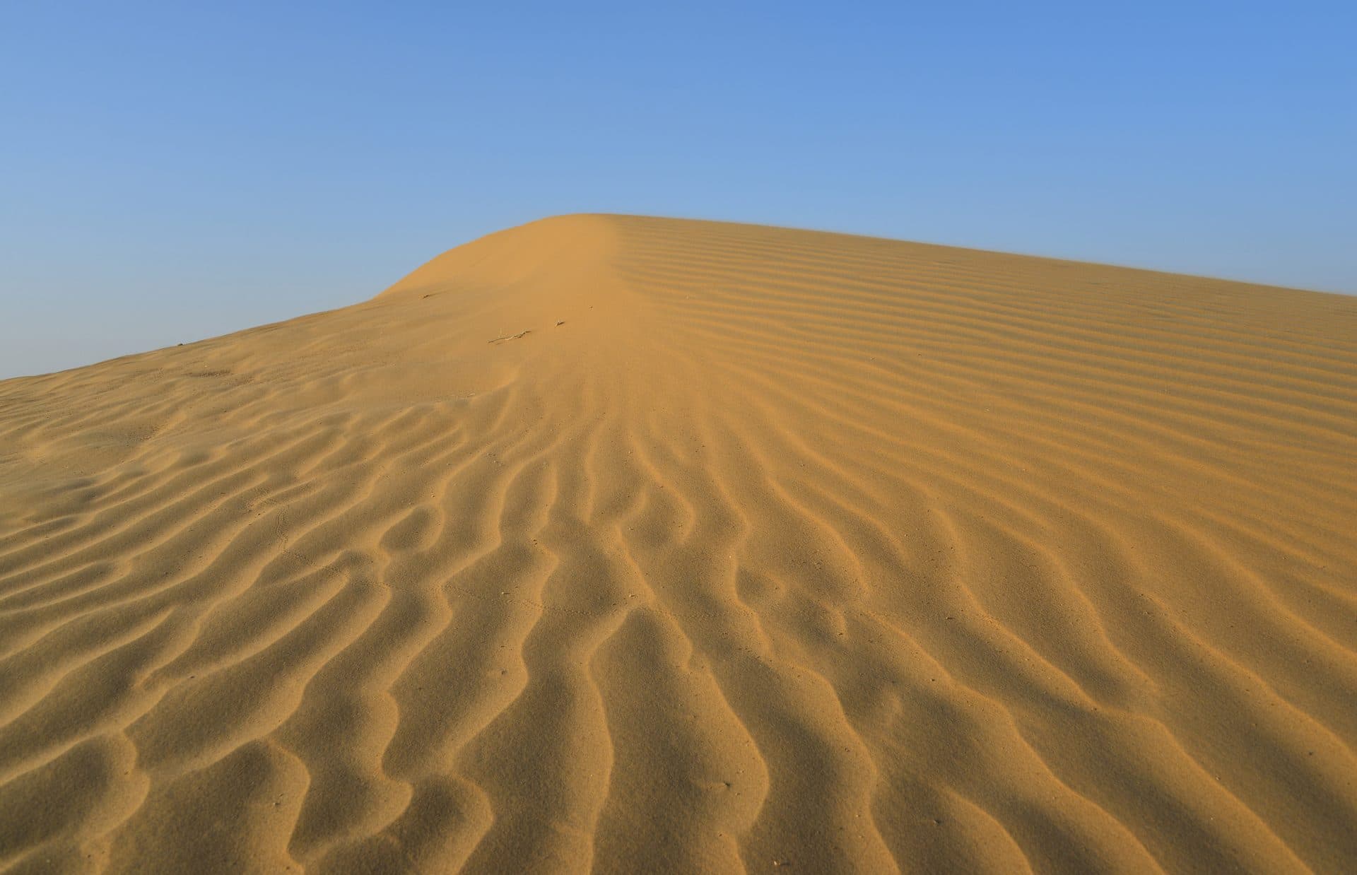 rajasthan state — Rajasthan